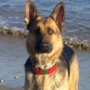 jfh83's profile picture. ok