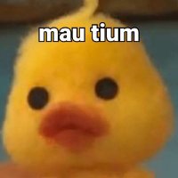 GakpakeKancut (@gakpakekancut) 's Twitter Profile