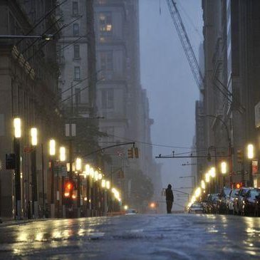 ytu1121280's profile picture. 