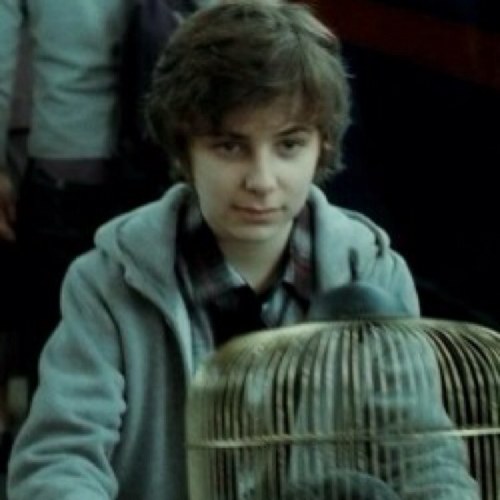 james_potter_2's profile picture. My parents are Harry and Ginny, my brother is Albus, and my sister is Lilly. I Follow Back! :)