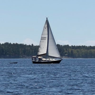 dierttam's profile picture. True north strong and free