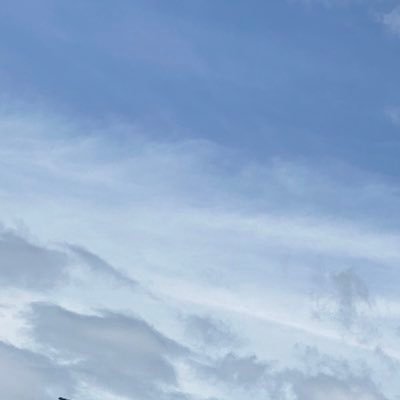 sankin12345's profile picture. 