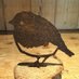 Rusty Robin (@brandsbaybob) Twitter profile photo Rusty Robin (@brandsbaybob) Twitter profile photo