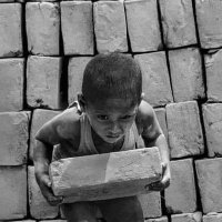 عادل عباس (@albulbul2013) Twitter profile photo