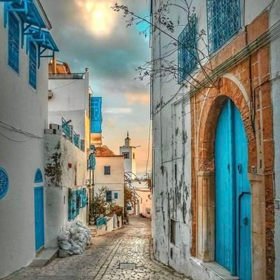 DhNb2024's profile picture. 