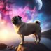 The Gazing Pug (@thegazingpug) Twitter profile photo The Gazing Pug (@thegazingpug) Twitter profile photo