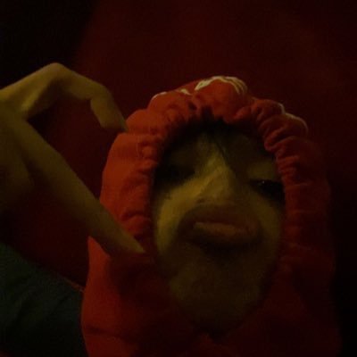 valenfallin's profile picture. 