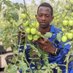 Agriculture Engineer (@obed_ishimwe22) Twitter profile photo Agriculture Engineer (@obed_ishimwe22) Twitter profile photo