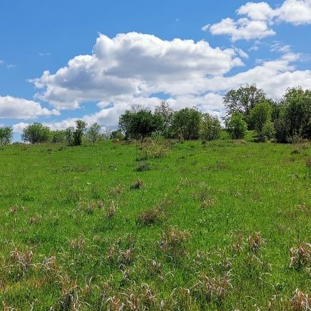 SizarAziz's profile picture. Mysilf