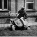Everything Tring (@everythintring) Twitter profile photo Everything Tring (@everythintring) Twitter profile photo