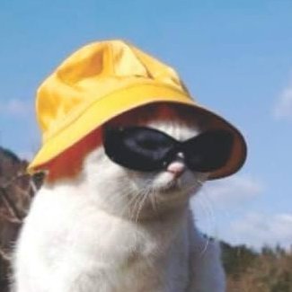 SnowWolfLeVrai's profile picture. Directeur de #OERIA |  Créateur de jeux vidio | Youtuber/Streamer
