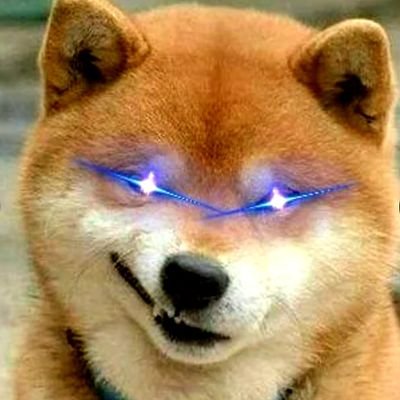 🏅Do Only Good Everyday 🦴 Supports The Current Thing.
Doge Wallet: DMSPxwRoVxgB7TsuFR3zCz5NBsuVCnnXv9
https://t.co/fC5ObJsBVx