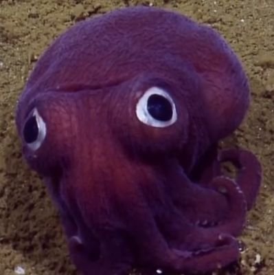 thero_play's profile picture. @thero_newface 의 그림계정.