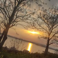 Beyza İnceoglu (@beyzan422) 's Twitter Profile Photo Beyza İnceoglu (@beyzan422) 's Twitter Profile Photo