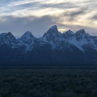 Real (@real_ssbu) 's Twitter Profile