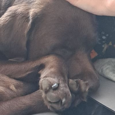 _Czarekol's profile picture. LFC FAN ❤️❤️
🔥❤️ YNWA❤️❤️