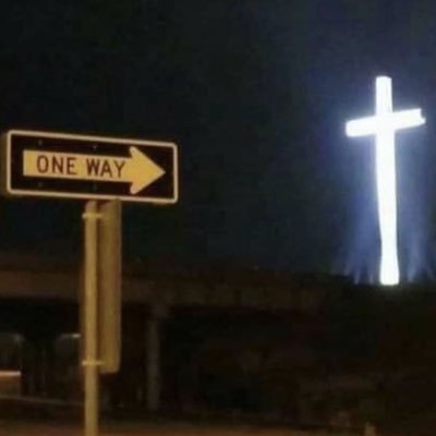 igit_pizzu's profile picture. 