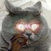 Rovadi (@rovadi2001) Twitter profile photo Rovadi (@rovadi2001) Twitter profile photo