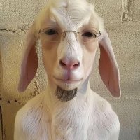 joseo.com (@raperopromesa) 's Twitter Profile