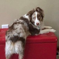 S Smith (@ssmith38751054) 's Twitter Profile