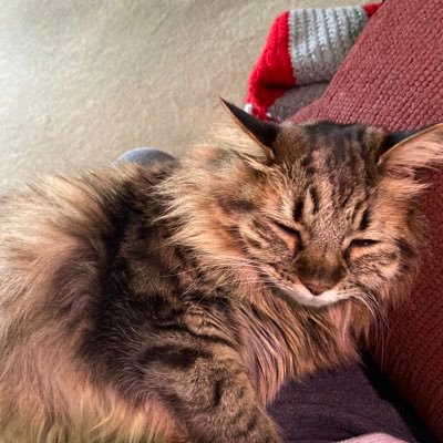 ai_gregg's profile picture. IIOT and GROK/LLM enthusiast.