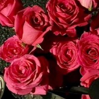 بسمة (@basmaa9999) 's Twitter Profile