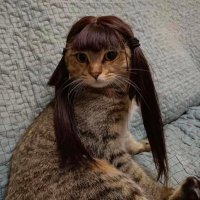 meggo (@stanfanacc) 's Twitter Profile