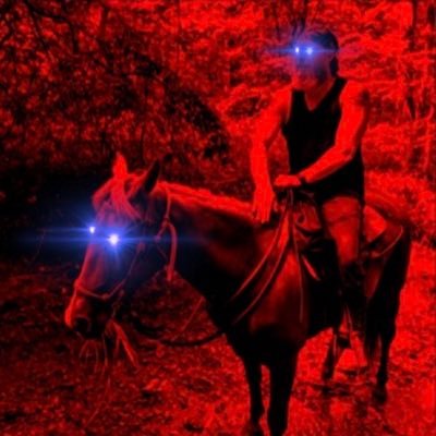 HalfHardChamp's profile picture. 