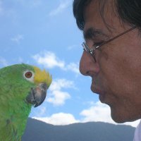 Julio Pimentel (@juliopimenton1) 's Twitter Profile Photo Julio Pimentel (@juliopimenton1) 's Twitter Profile Photo