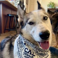 WendyW #Harris/Waltz2024 (@wenwillrun) 's Twitter Profile