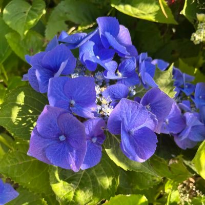 MDKABGWCPHV's profile picture. L’histoire n’est pas finie