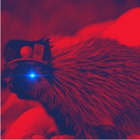 SJR β¦οΈπΊπΈββπ‘ (@sjrodriguez95) 's Twitter Profile