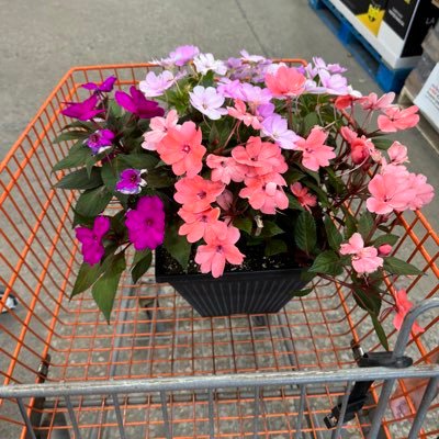 Sherm_to's profile picture. 