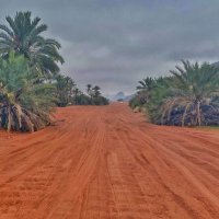 درع الجبل (@algithah) 's Twitter Profile Photo