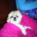 alden reyes - @lamele22 - Twitter