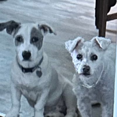 barb_morr's profile picture. 