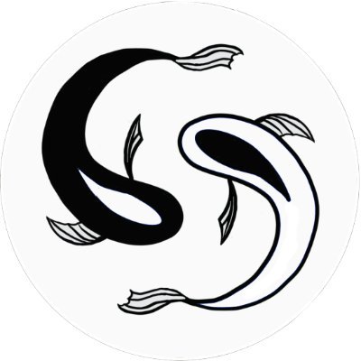 RCGFunnyMunny's profile picture. just speculating at @FractalExchange