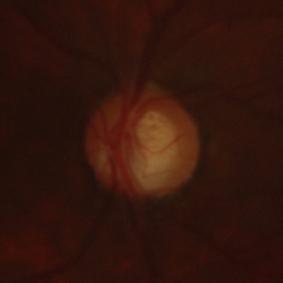 rtyj1998's profile picture. 
