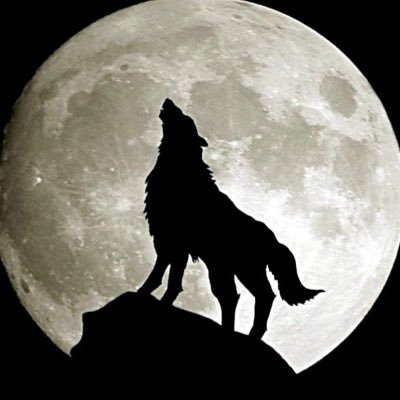 king_zamane's profile picture. أنَّ النَّبيَّ صلَّى اللَّهُ عليهِ وسلَّمَ قالَ : لولا أن تبطَرَ قُرَيْشٌ ، لأخبرتُها بما لَها عندَ اللَّهِ