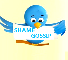 « Une déclaration amoureuse ou une critique à faire sur un Twittos ? Je m'en charge, tu as juste à me DM. »