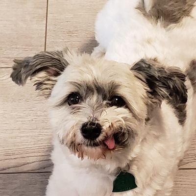 terrilynnmurphy's profile picture. Wife, Mother, Patriot 🇺🇸