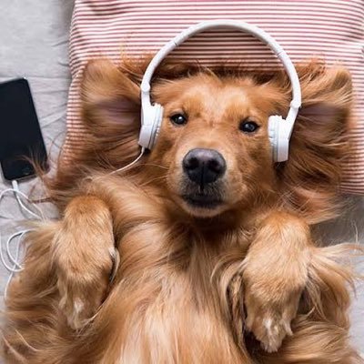 prip92's profile picture. 