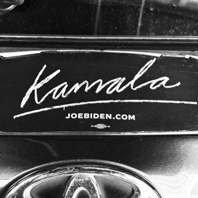 sunshinerasty's profile picture. 