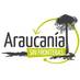 AraucaníaSinFrontera (@araucaniasf) Twitter profile photo AraucaníaSinFrontera (@araucaniasf) Twitter profile photo