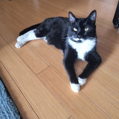 michell35321348's profile picture. 