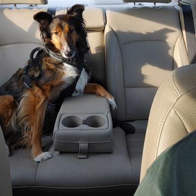 BillHoffma86268's profile picture. 