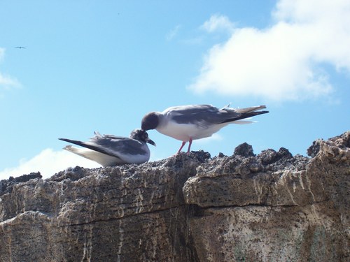 paulasuarezb's profile picture. 