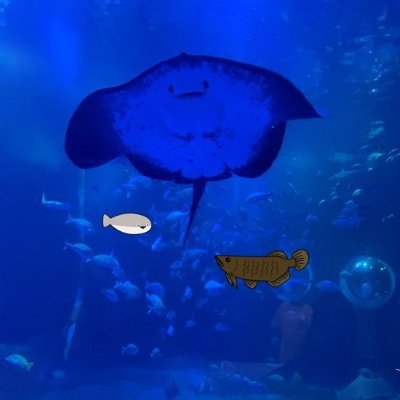 星空と水族館さんのプロフィール画像