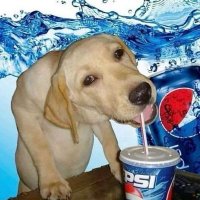 wthCharles (@escrot0lamo) 's Twitter Profile