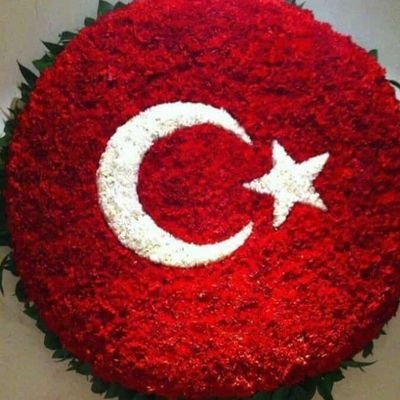 tugba457568's profile picture. Göktuğ &Asel'in Annesi
Kaymakamlıkta Şef